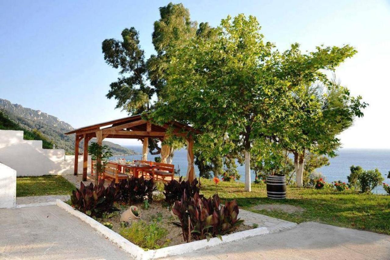 Theophilos Blue Cozy Apartment Agios Georgios Pagon