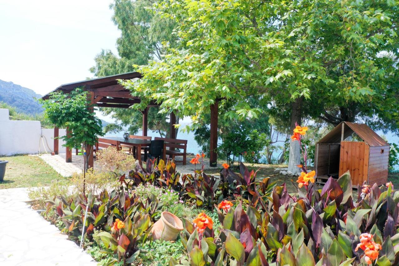 Theophilos Blue Cozy Apartment Agios Georgios Pagon